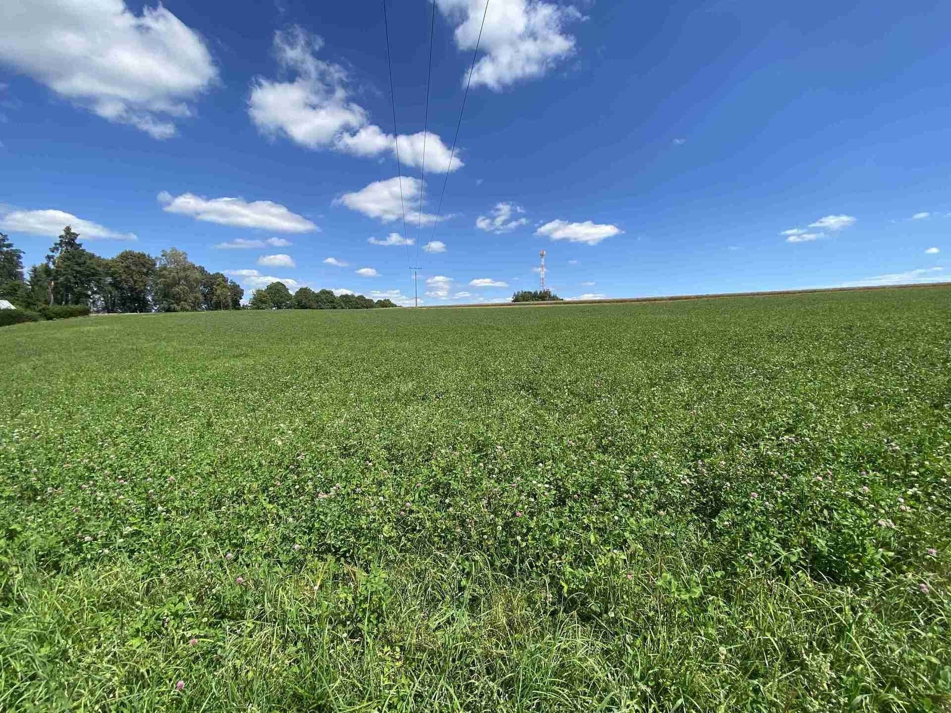 Prodej pozemek - Boňkov, 5 m²