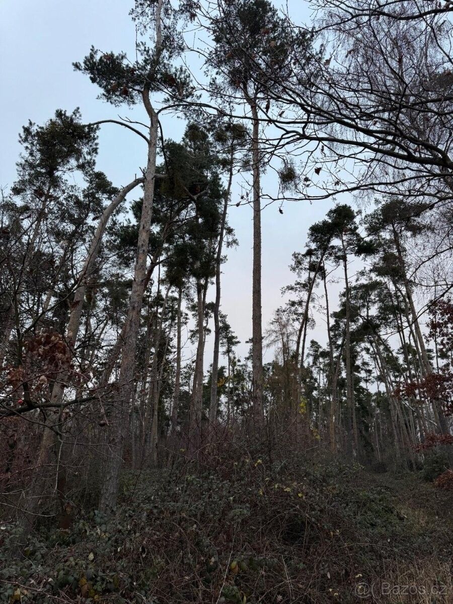 Prodej pozemek pro bydlení - Týnec nad Labem, 281 26