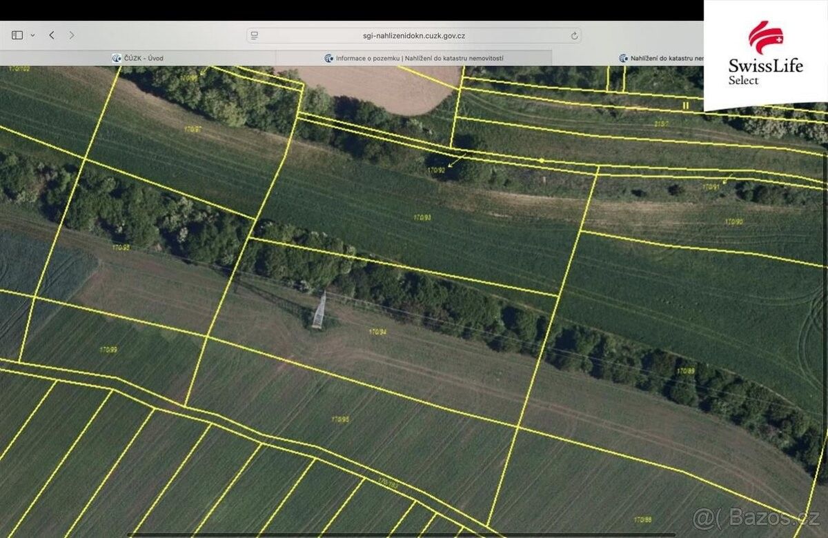 Prodej pozemek pro bydlení - Brumovice na Moravě, 691 11