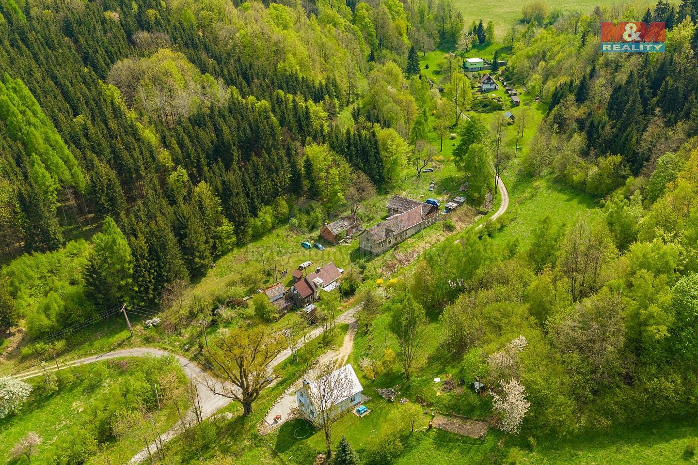 Louka · Javorník - Travná, okres Jeseník, Olomoucký kraj - 4