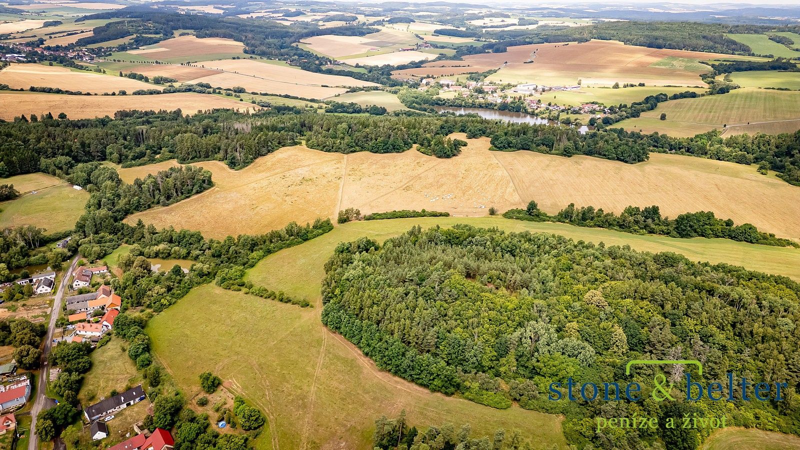 Prodej les - Zvěstov, okres Benešov, Středočeský kraj - 5