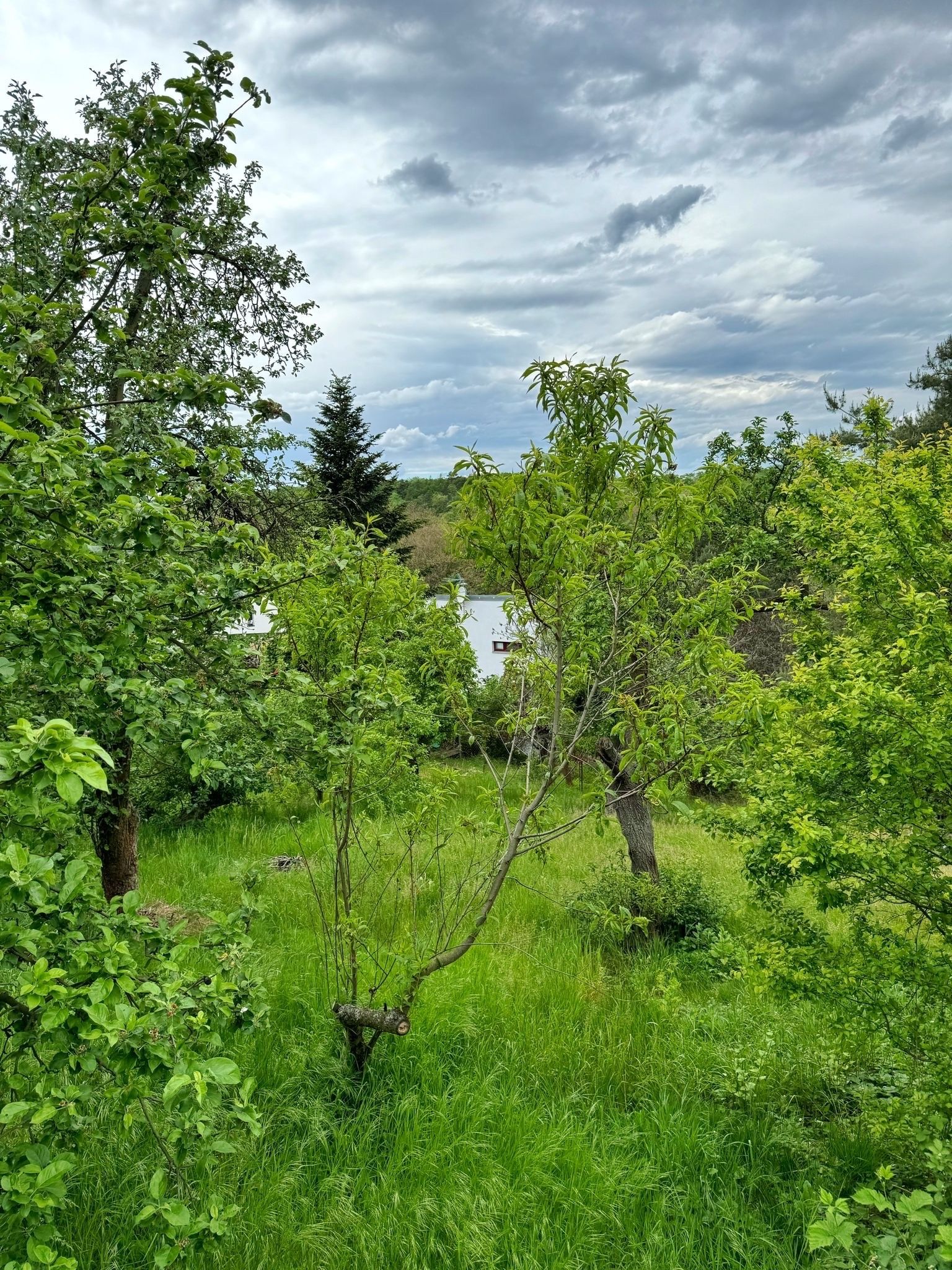 Pozemky pro bydlení, Jívová 1132/18, Praha, 510 m²