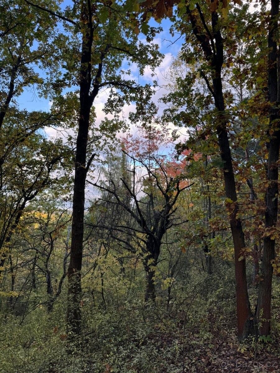 Prodej pozemek pro bydlení - Louny, 440 01