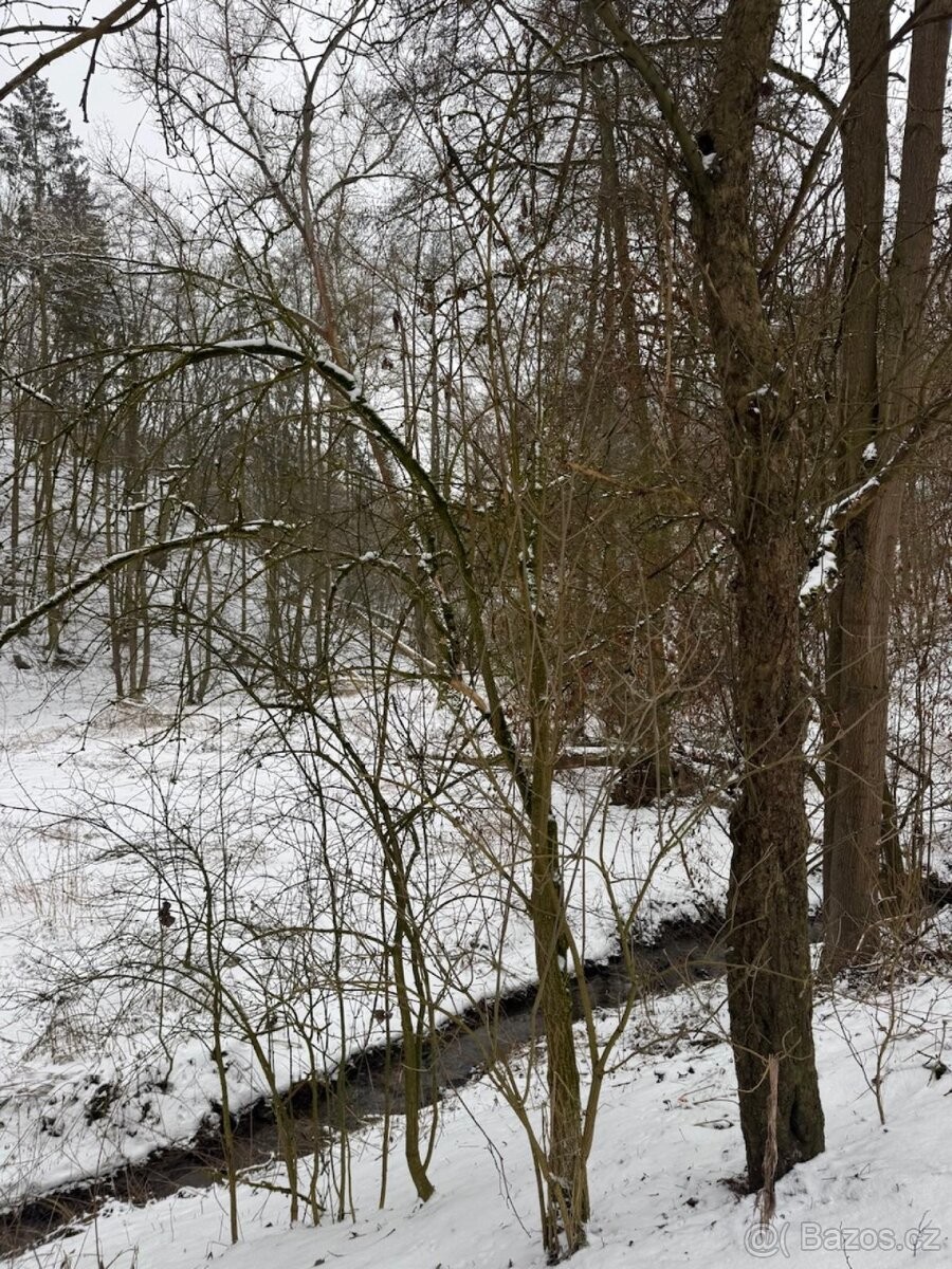 Pozemek pro bydlení