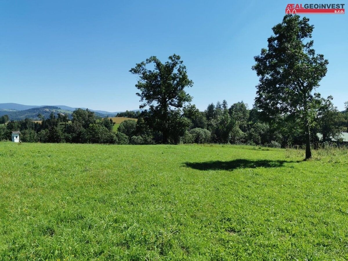 Ostatní, Staré Město pod Sněžníkem, 788 32 - 1