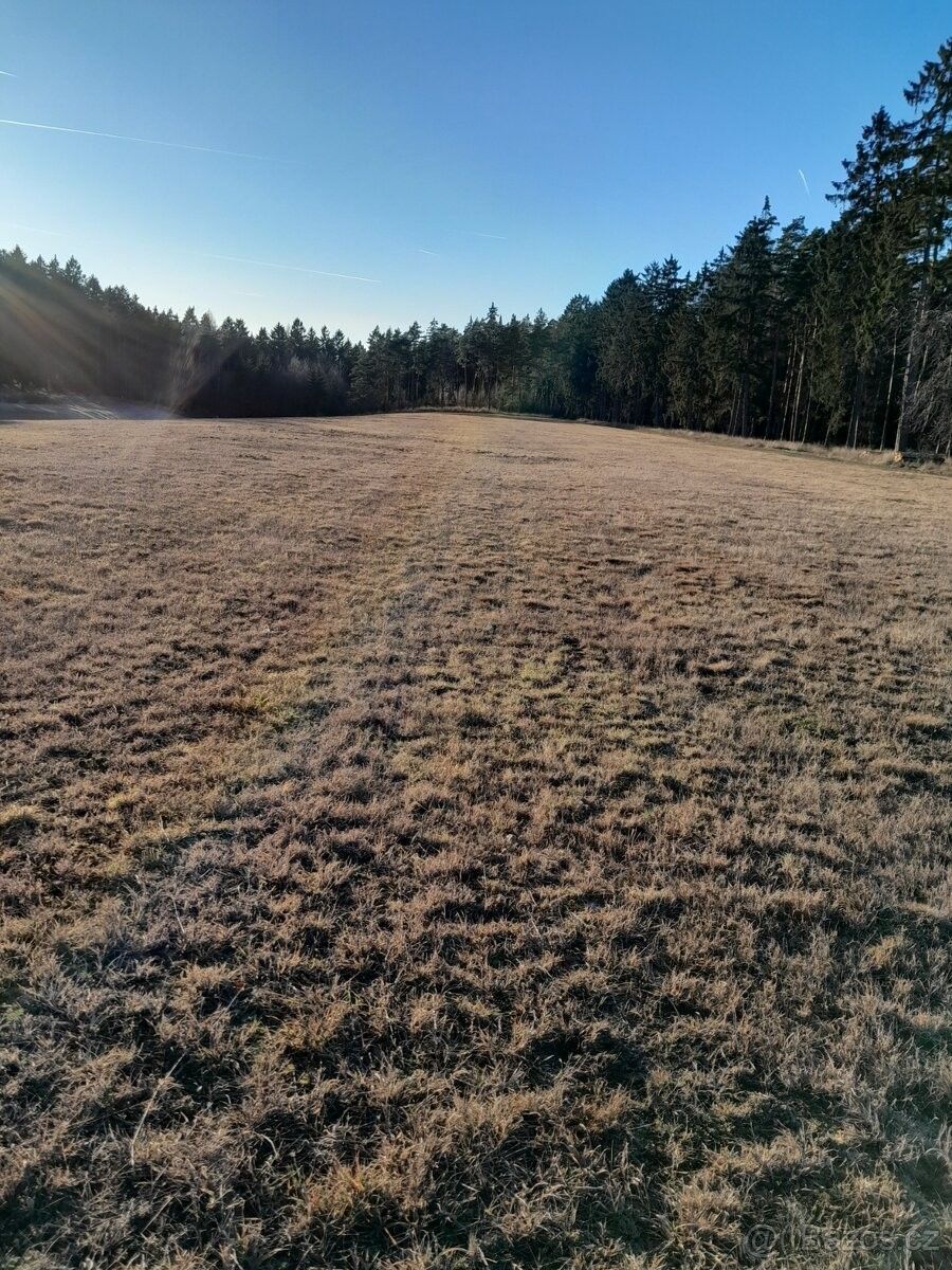 Pozemky pro bydlení, Líšťany, 330 35