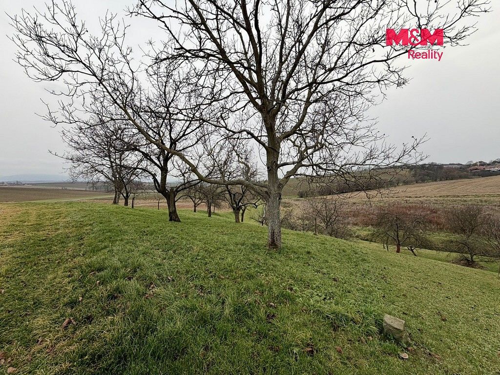 Zahrada · Bezuchov, okres Přerov, Olomoucký kraj - 3