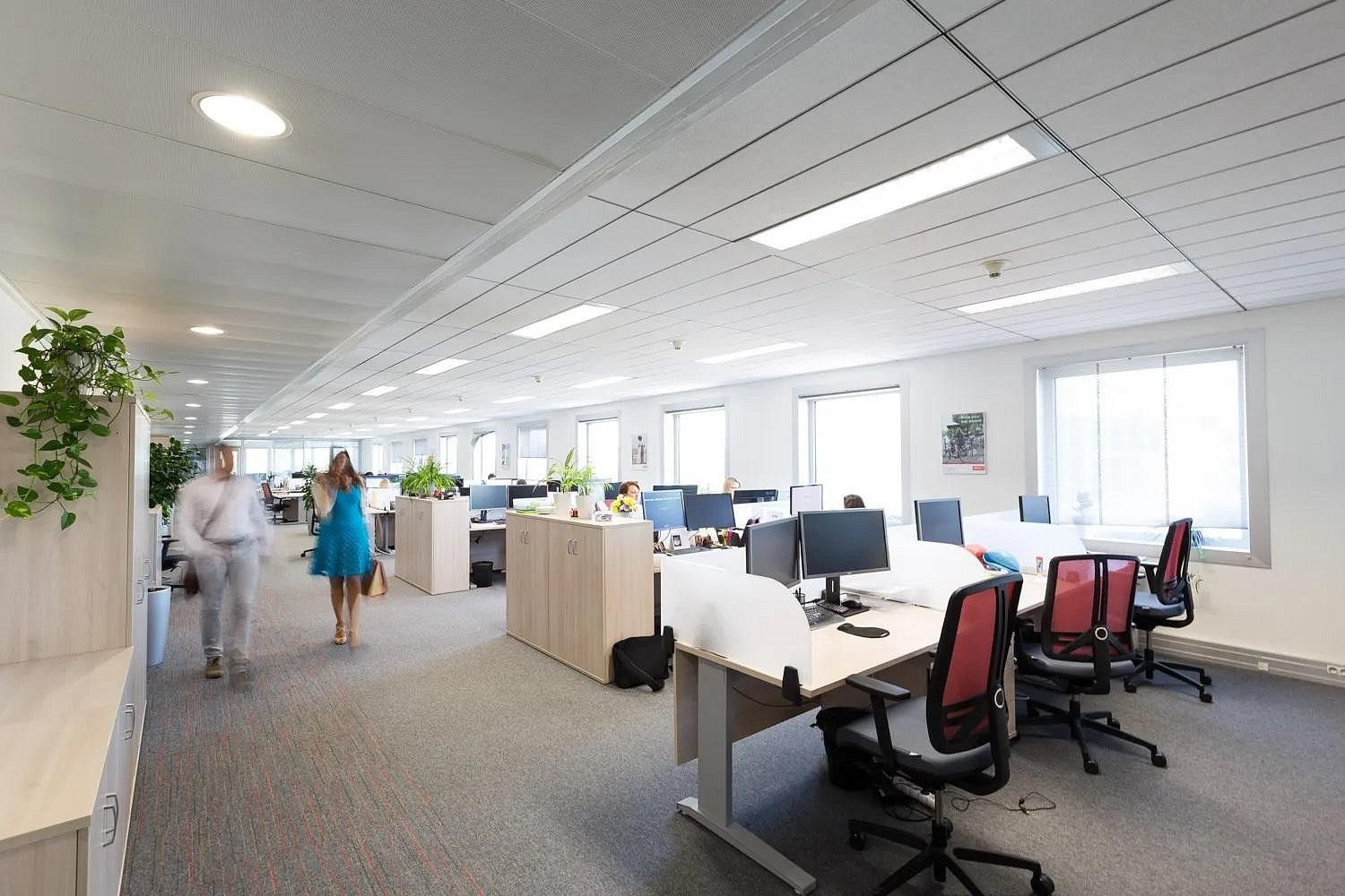 Kanceláře, Praha - Karlín, okres Praha 8, Hlavní město Praha, 160 m² - 2