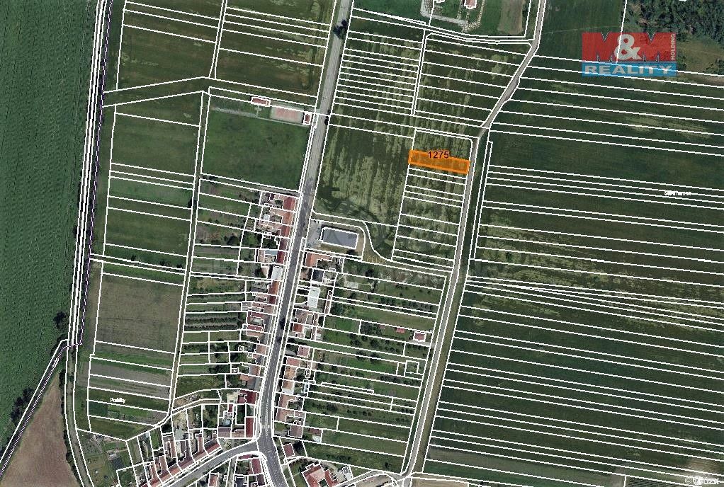 Prodej zemědělský pozemek - Čejč, 696 14, 81 m²