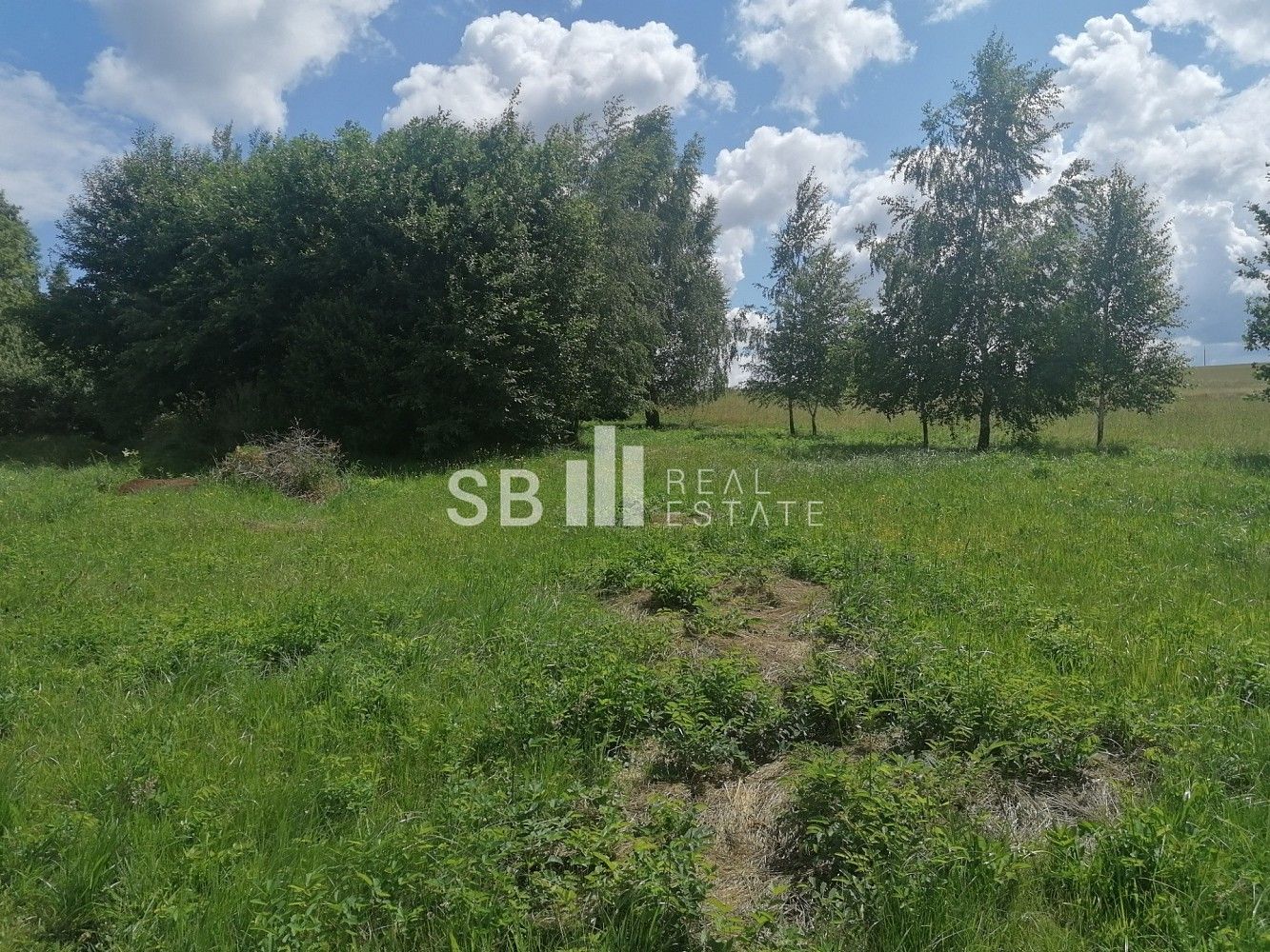 Prodej pozemek pro bydlení - Borová, okres Svitavy, Pardubický kraj - 5