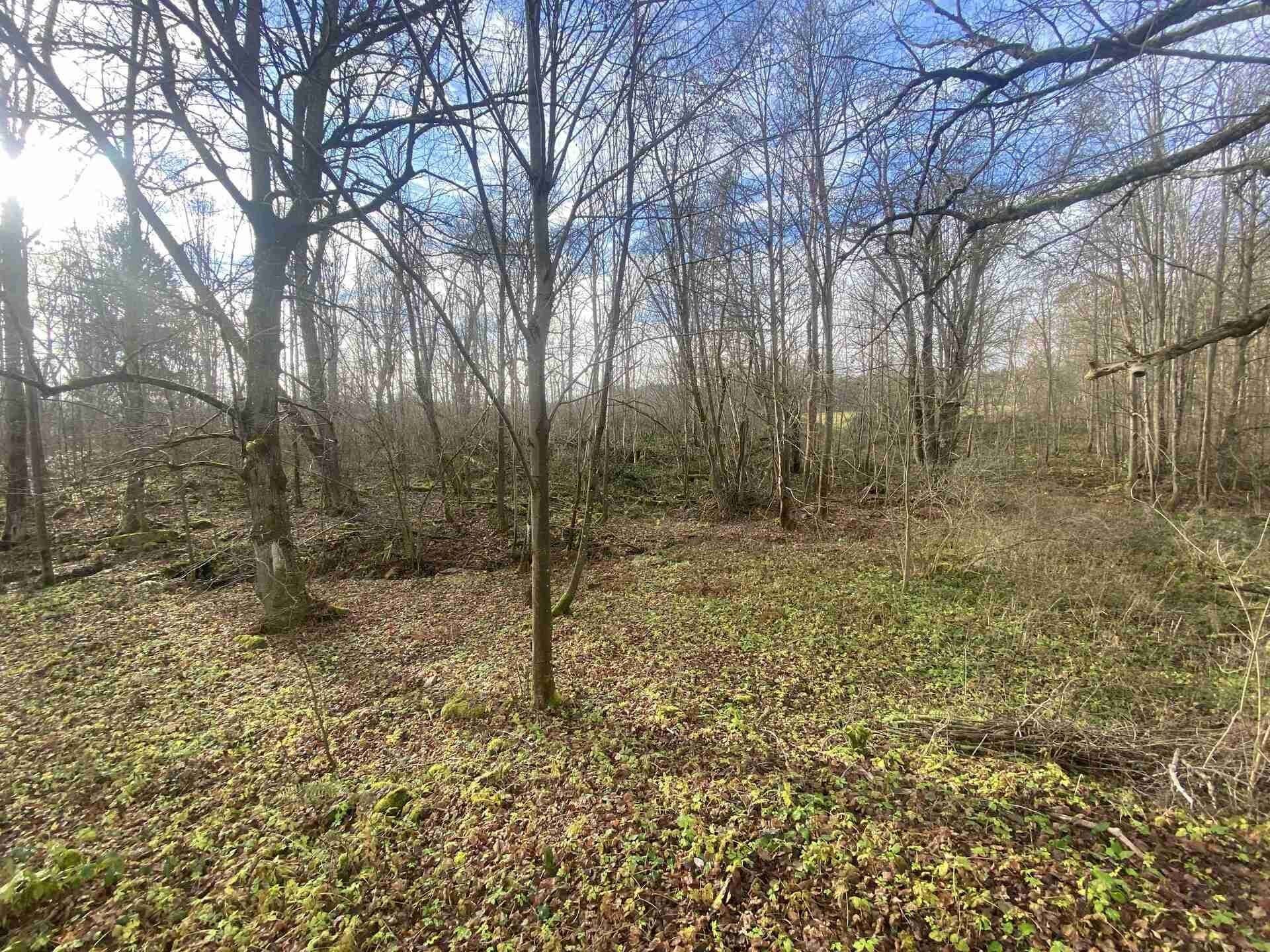 Pozemky pro bydlení, Staré Město pod Landštejnem, 1 m²