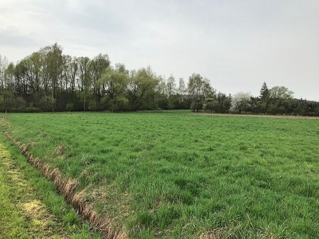 Pozemky pro bydlení, Ostrava, 708 00