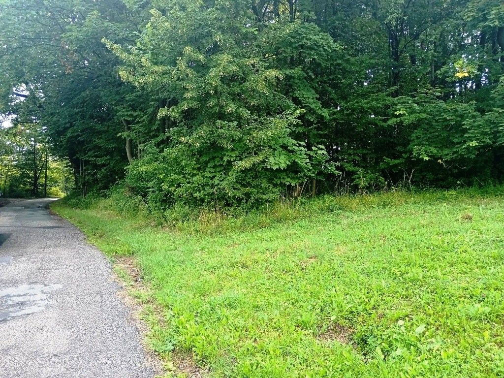 Pozemky pro bydlení, Mohelnice, 789 85