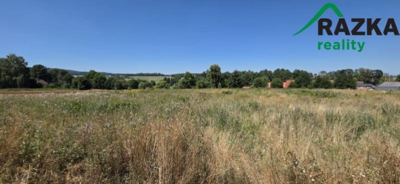 Prodej pozemek pro bydlení - Velký Rapotín, Tachov, 1 888 m² - 5