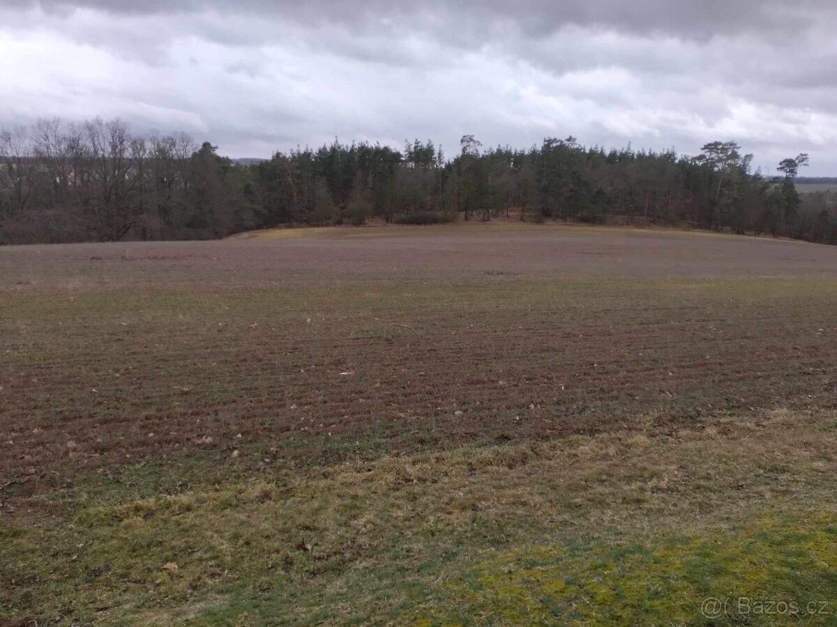 Prodej pozemek pro bydlení - Náměšť nad Oslavou, 675 71