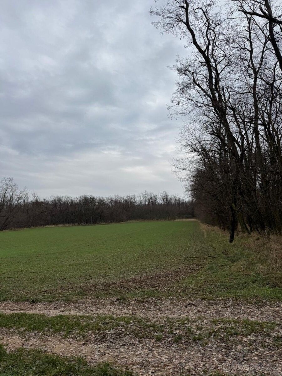 Pozemky pro bydlení, Moravský Krumlov, 672 01