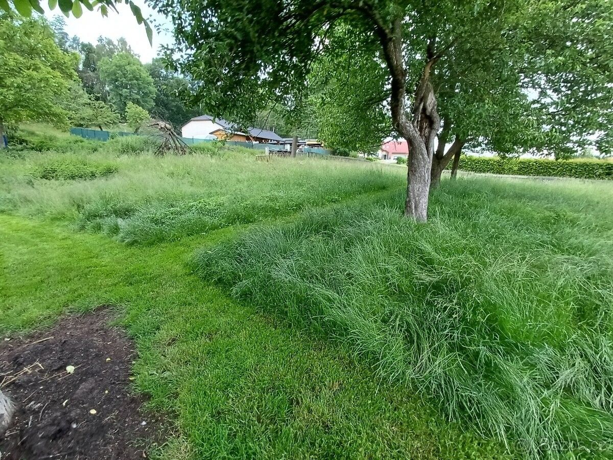 Zahrady, Jindřichův Hradec, 377 01