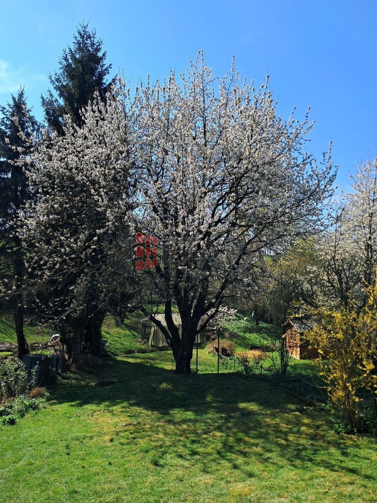 Chaty, Račina, Týn nad Vltavou, 46 m² - 2