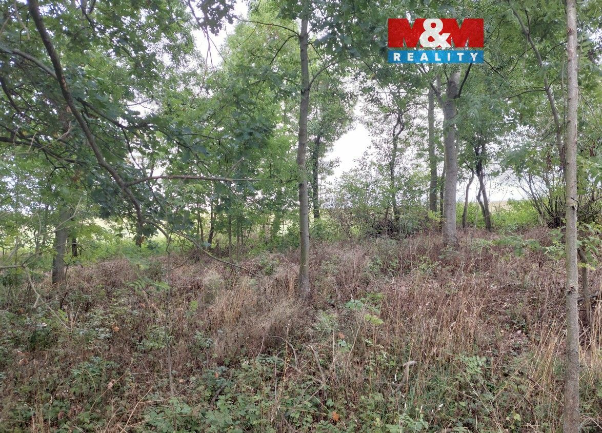 Pozemky pro bydlení, Bystřice u Benešova, 257 51