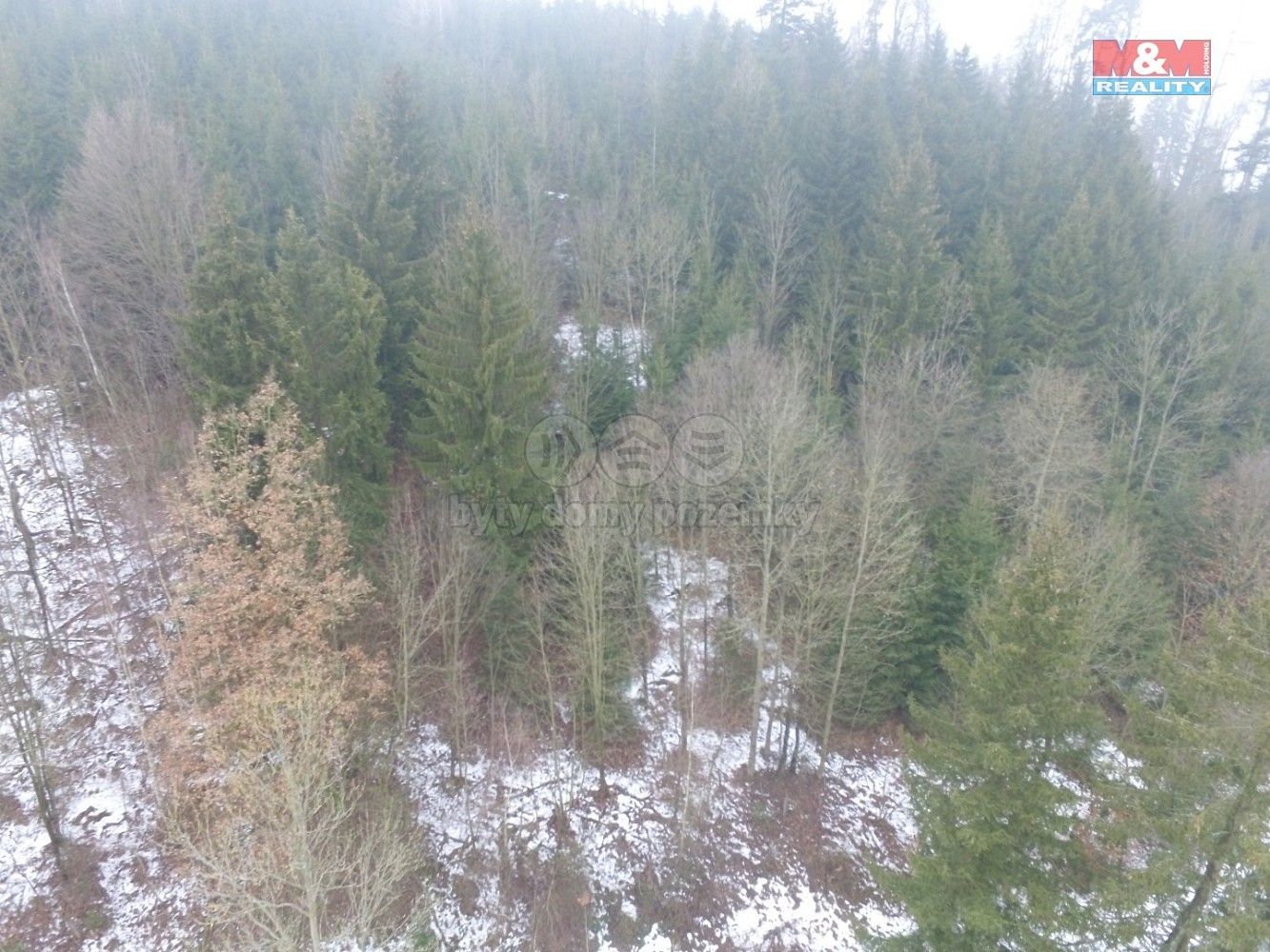 Lesy, Řetová, okres Ústí nad Orlicí, Pardubický kraj - 2