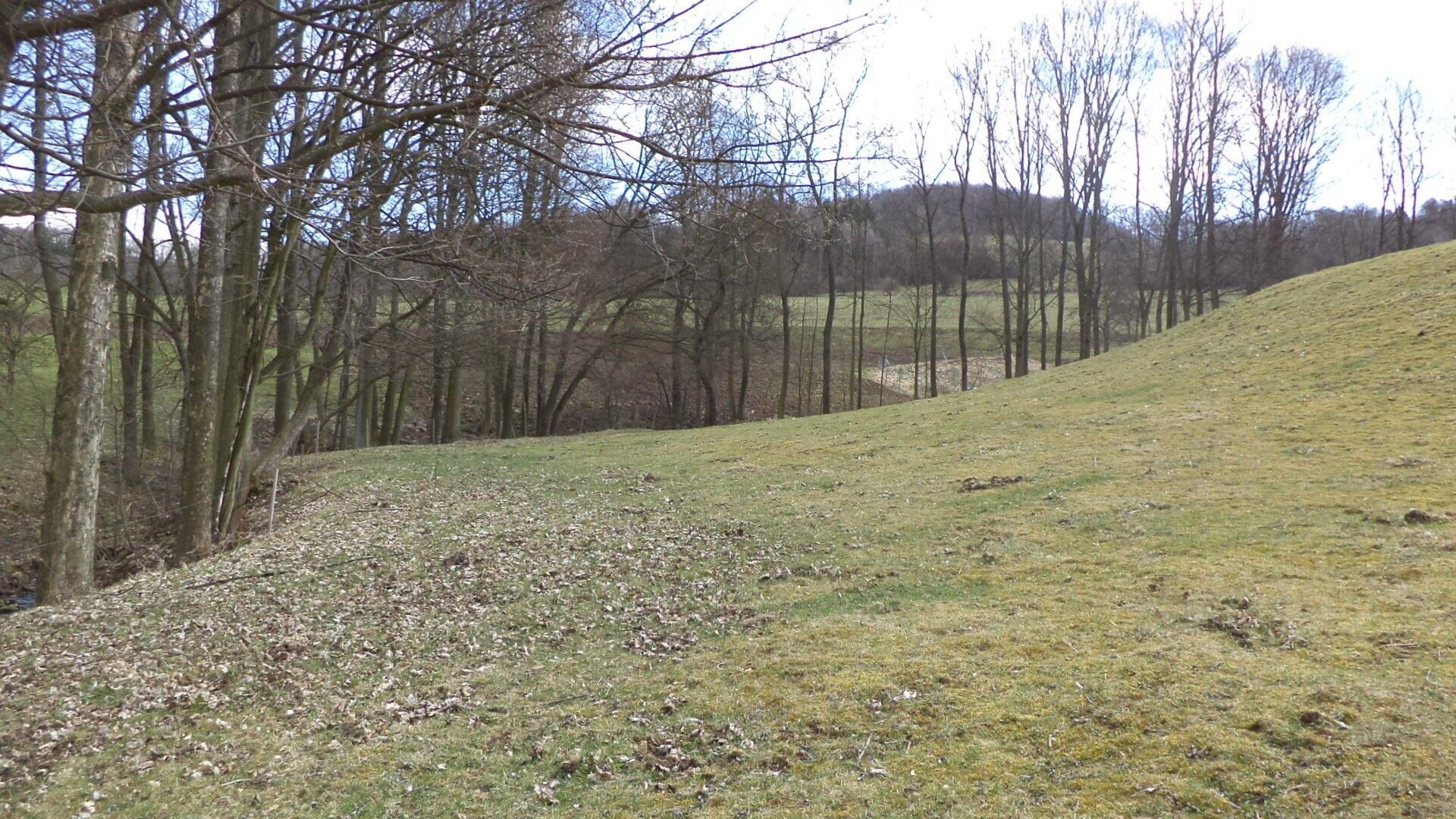 Ostatní, Fojtovice, Heřmanov, 4 m²