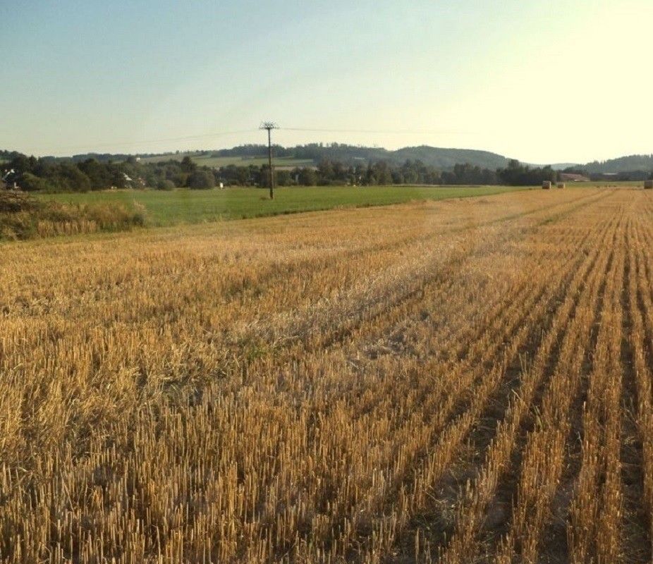 Zemědělské pozemky, Loučky, Zátor, 15 861 m²