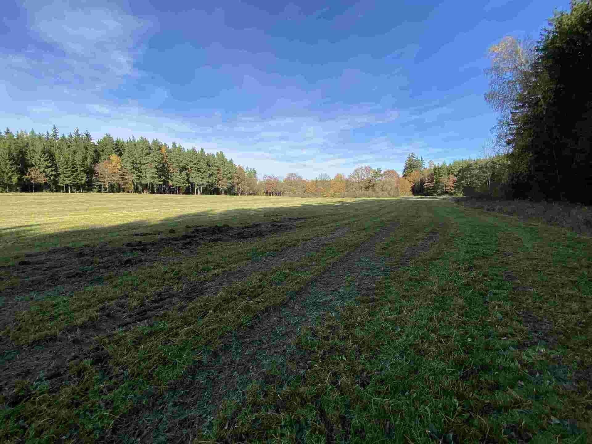 Zemědělský pozemek · 10 862 m² · Blatná - 3