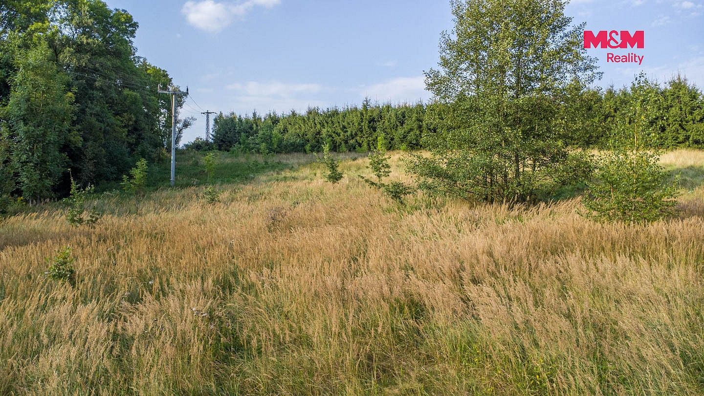 Prodej louka - Nový Bor - Janov, okres Česká Lípa - 5