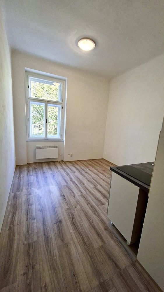 1+kk, U Paliárky, Praha 5 - Smíchov, 17 m² - 2