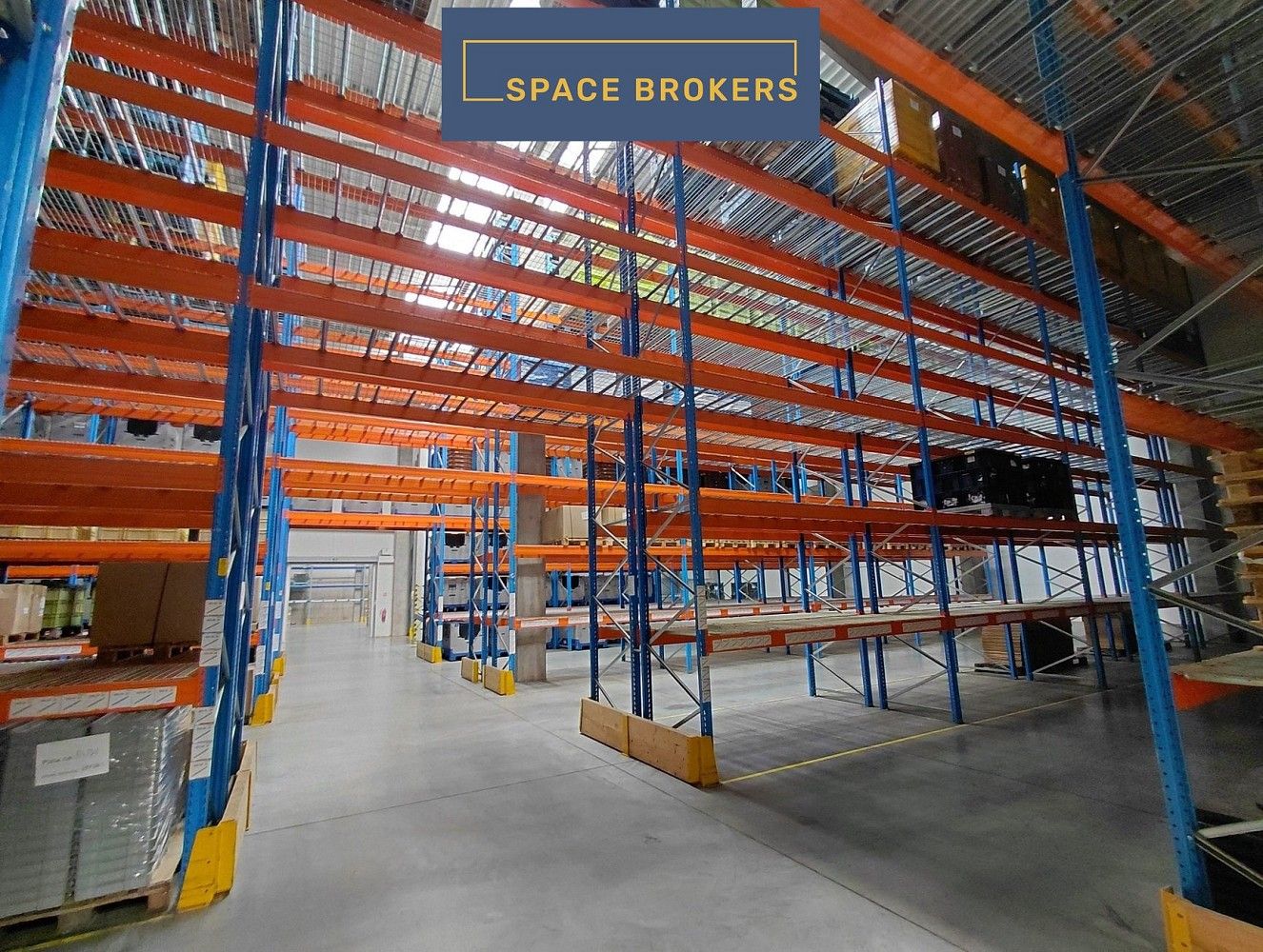 Sklad · 3 582 m² · Červený Kostelec, okres Náchod - 4
