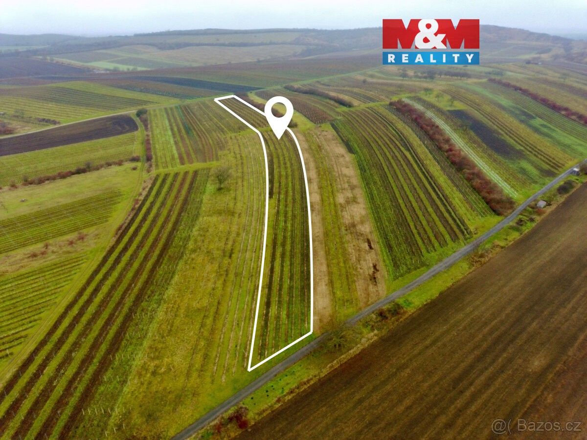 Pozemky pro bydlení, Dolní Dunajovice, 691 85