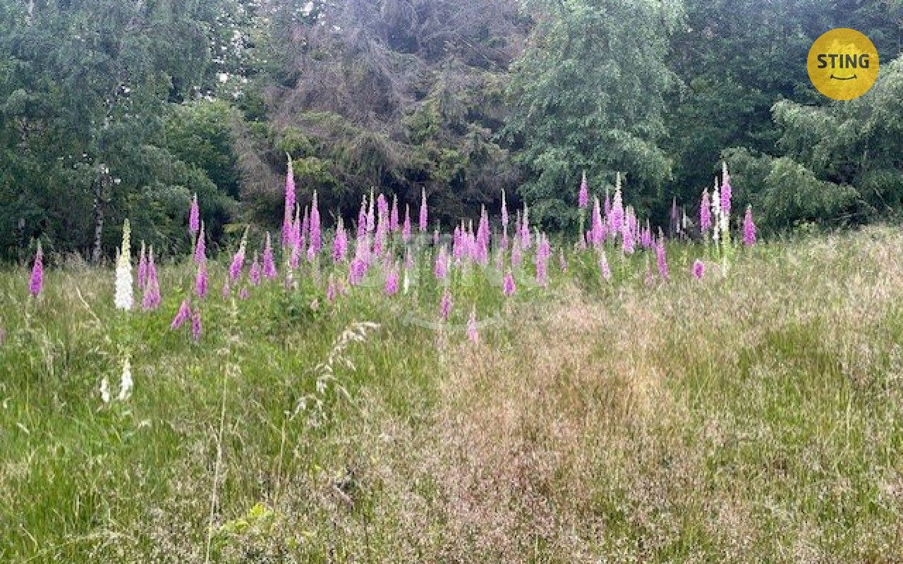 Louky, Košařiska, 6 262 m²