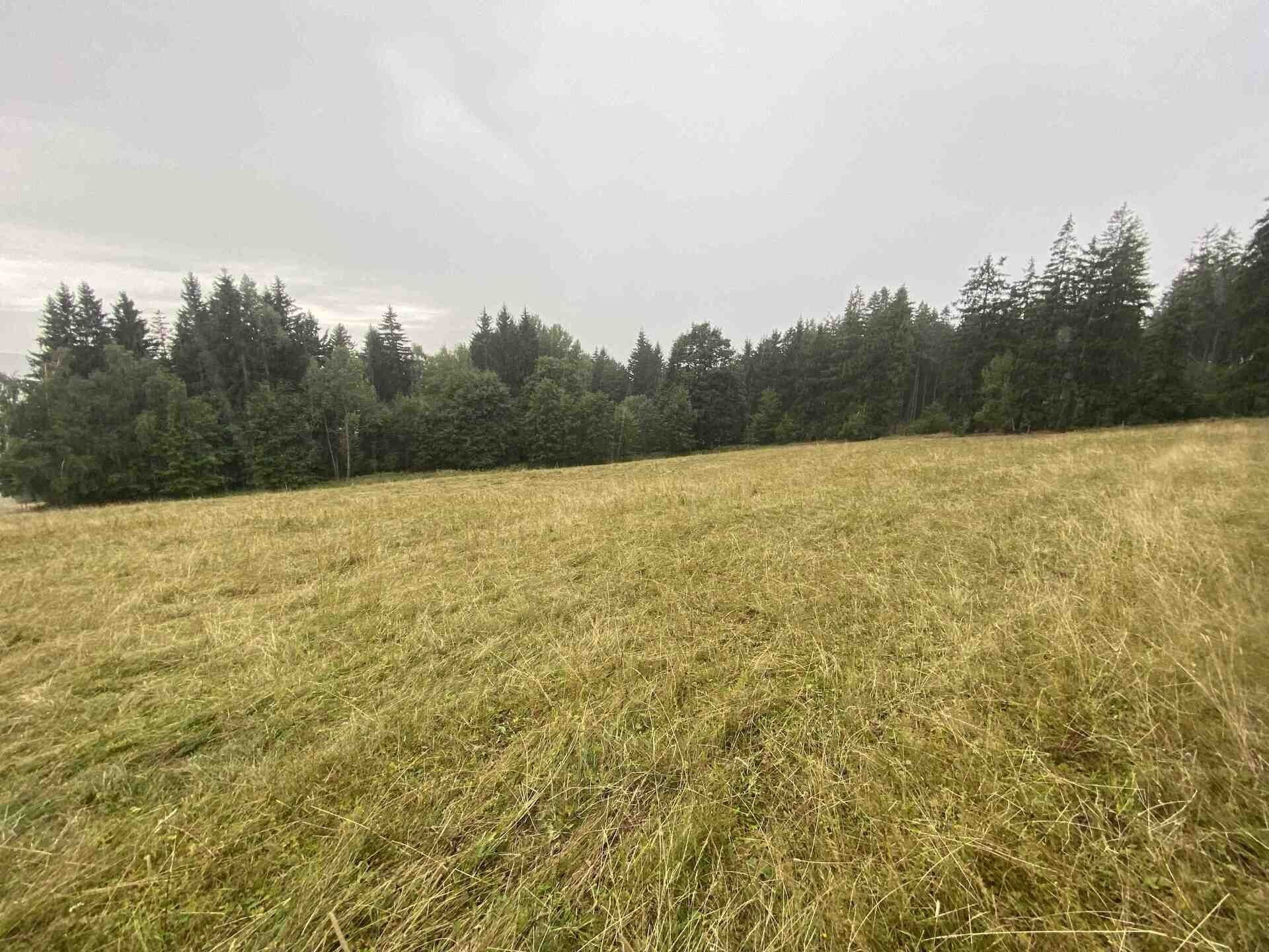 Ostatní, Králíky, 1 842 m² - 2