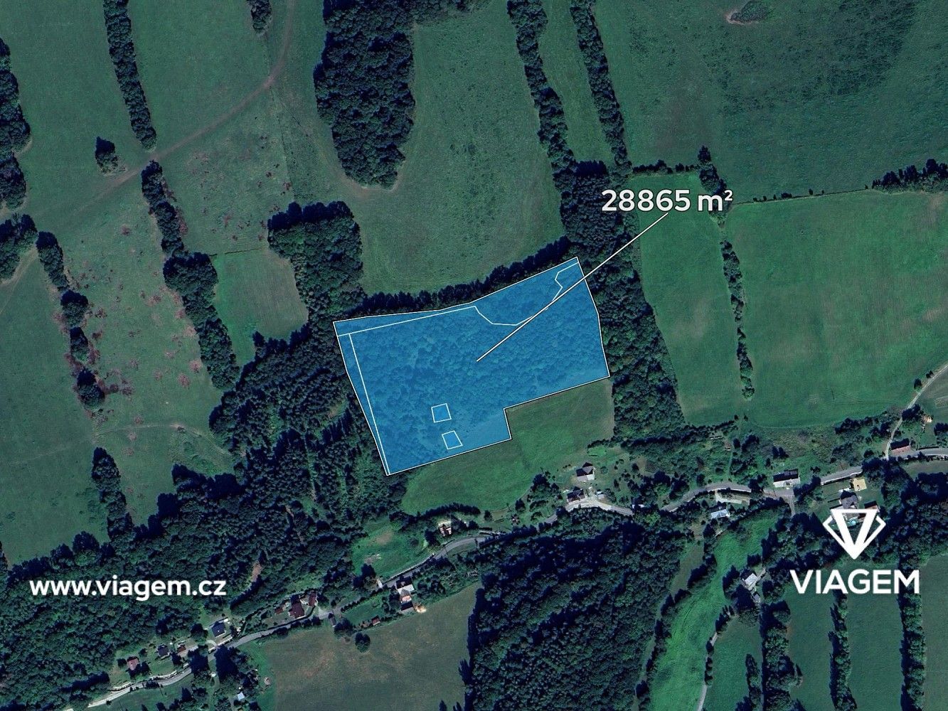Les · Skorošice, okres Jeseník, Olomoucký kraj - 2