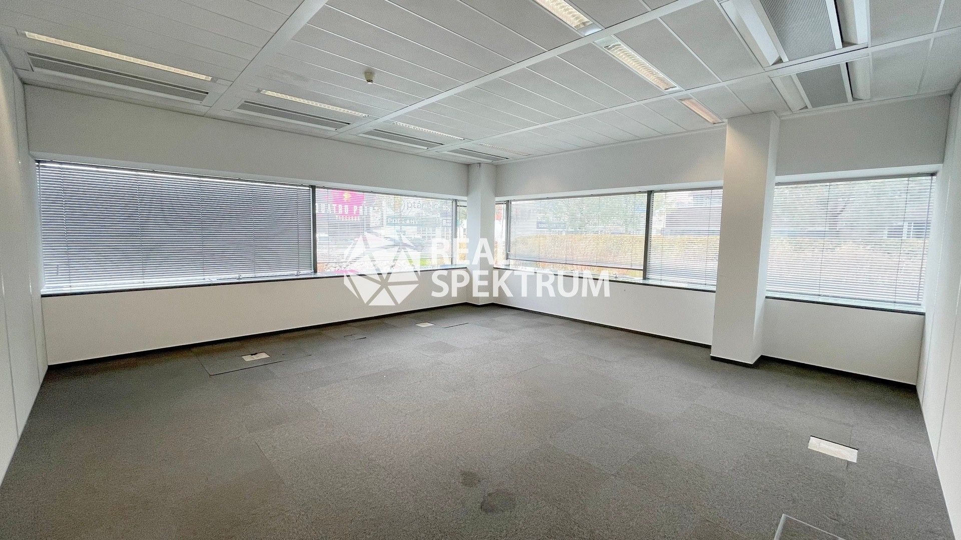 Kanceláře, Holandská, Brno, 226 m²