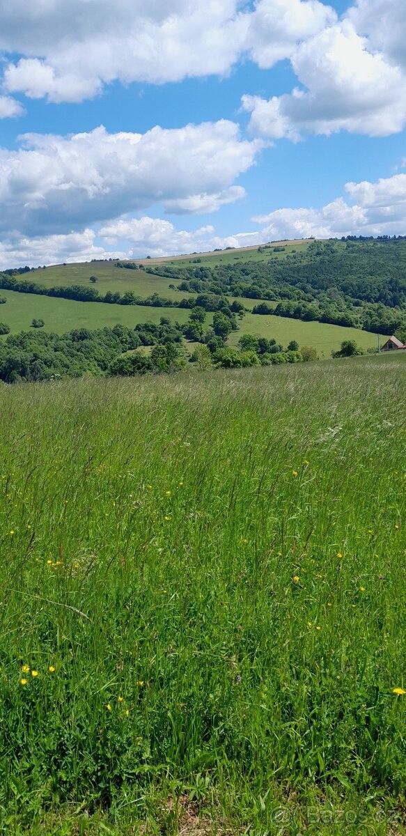 Prodej rodinný dům - Praha, 110 00