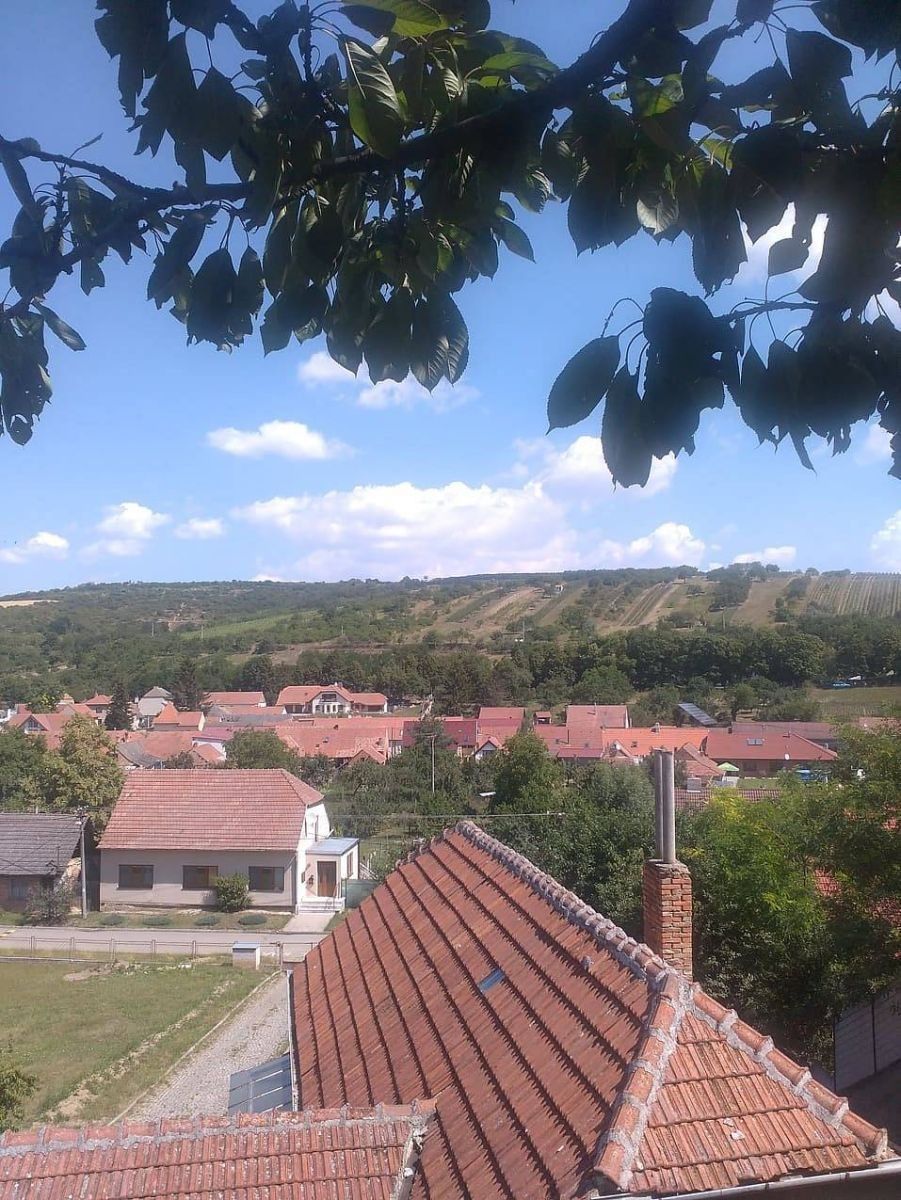 Chaty, Boleradice, Jihomoravský kraj - 1