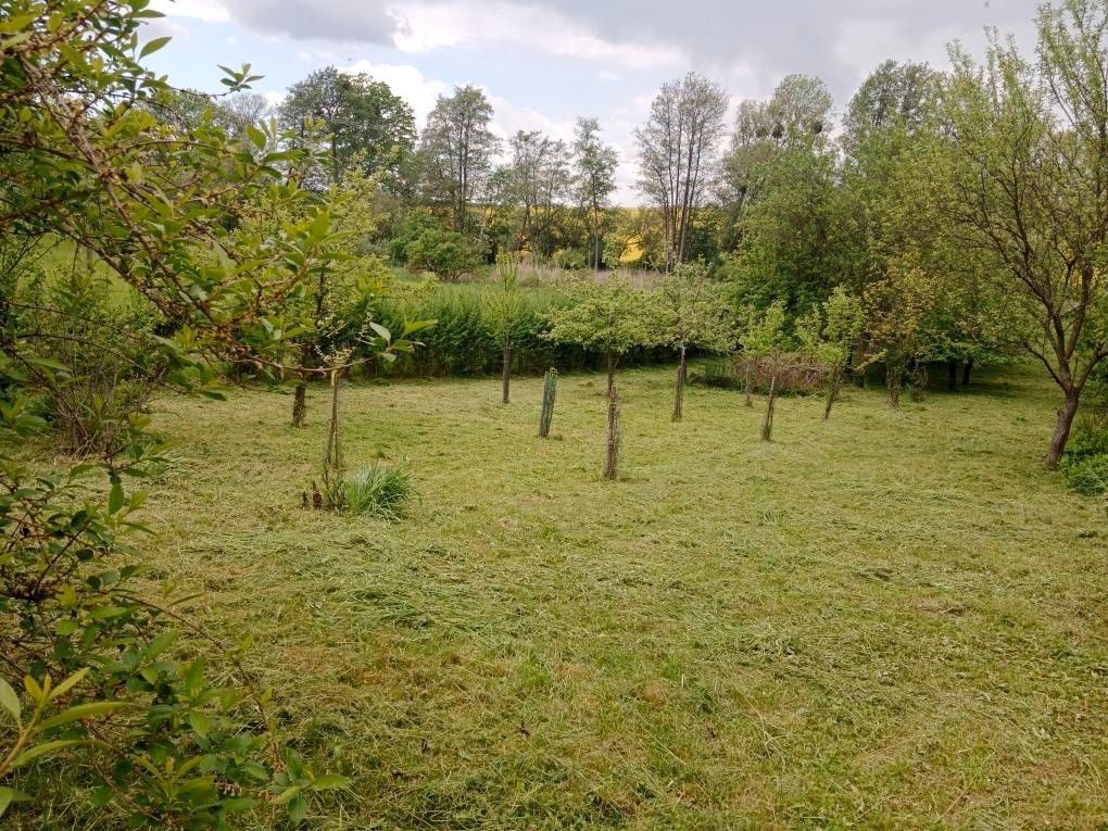 Zahrady, Soběchleby, 753 54 - 2