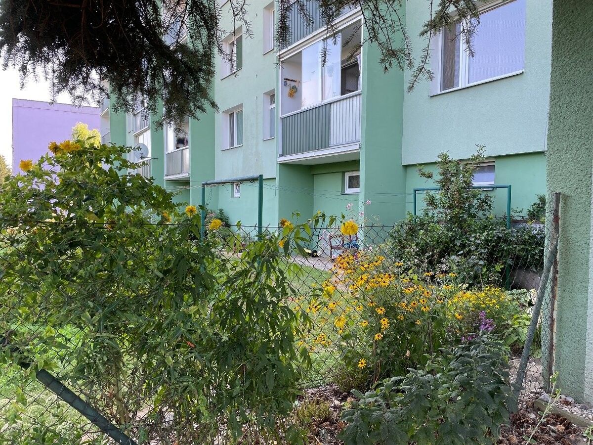 Pronájem byt - Bludov, 789 61