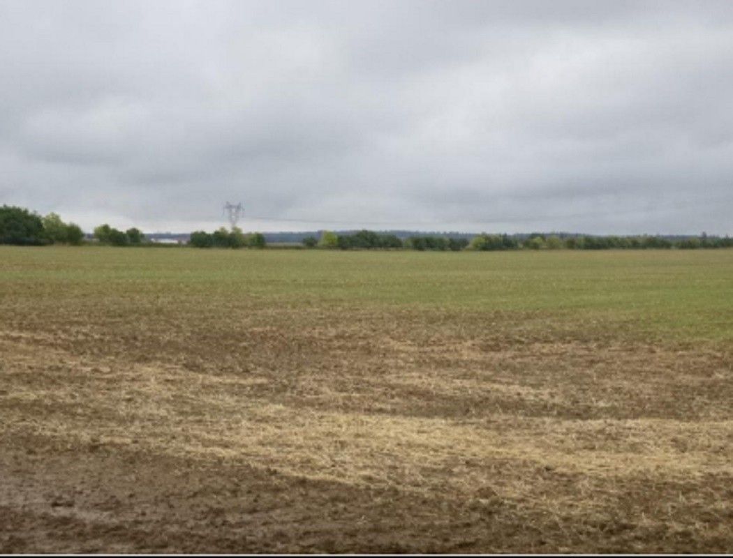 Pozemky pro bydlení, Sibřina, 250 84