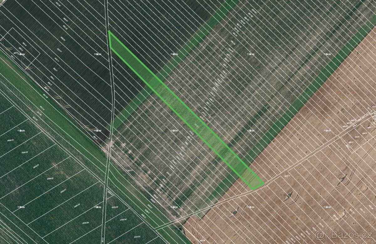 Prodej pozemek pro bydlení - Prušánky, 696 21