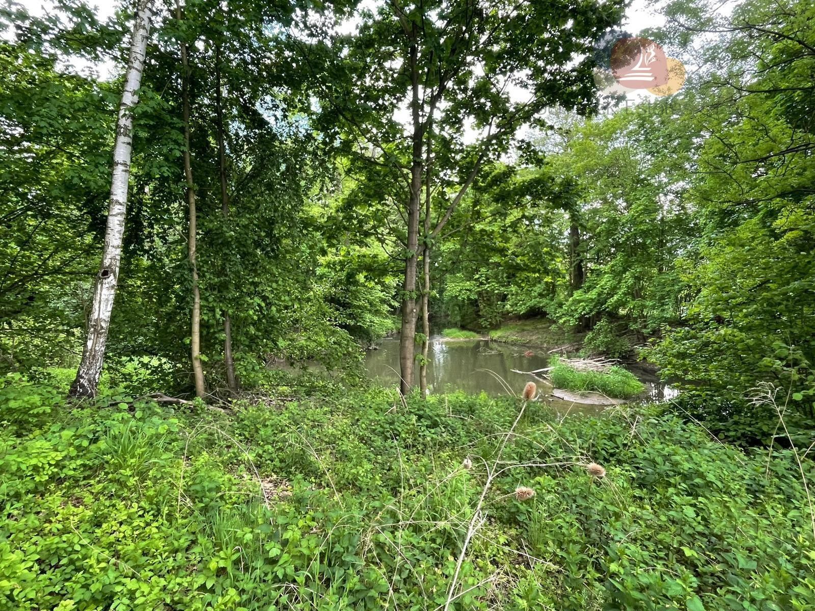 Prodej rodinný dům - Petrovice u Karviné Závada, 993 m² - 5