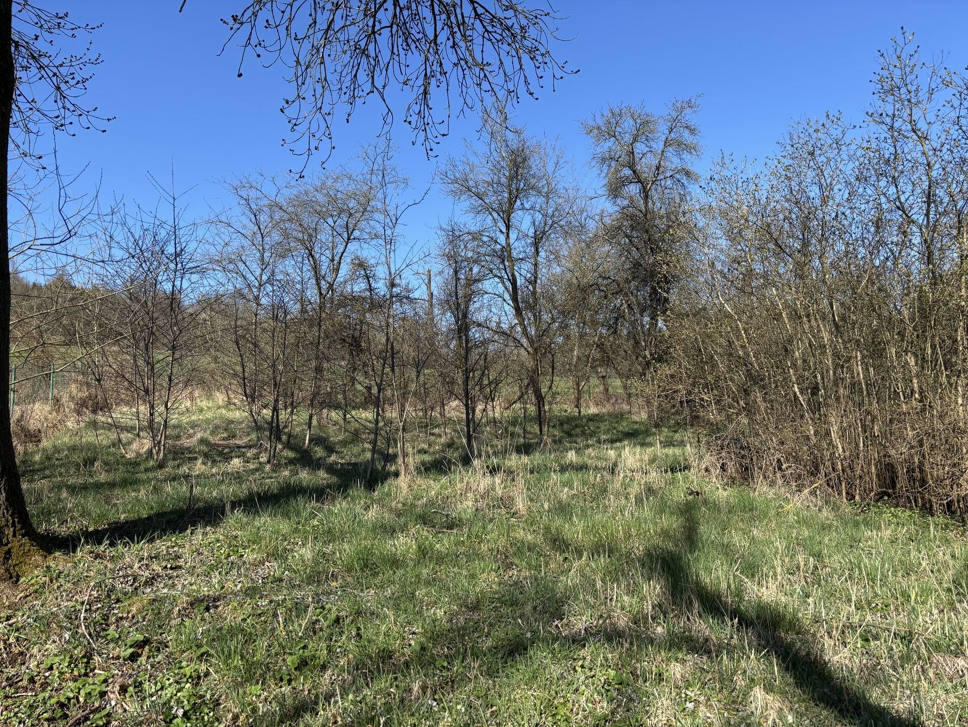 Prodej pozemek pro bydlení - Dlažov