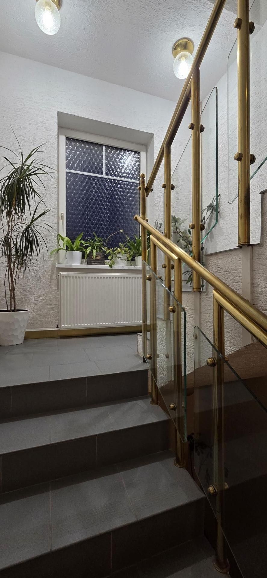 Pronájem kancelář - 28. října, Jeseník, 27 m² - 5