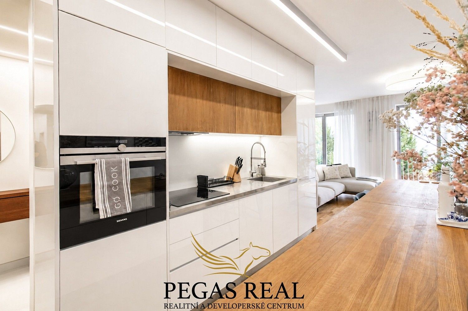 Prodej byt 4+kk - Brno - Staré Brno, okres Brno-město, Jihomoravský kraj, 109 m² - 5