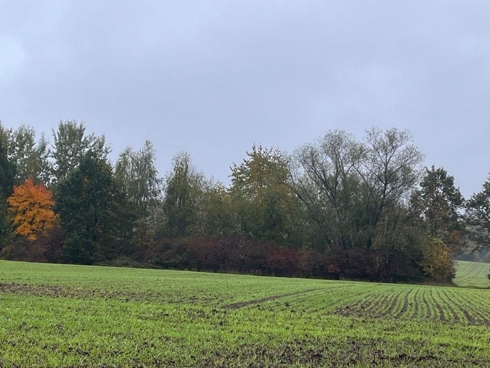 Ostatní, Dolní Suchá, Havířov, 1 444 m²