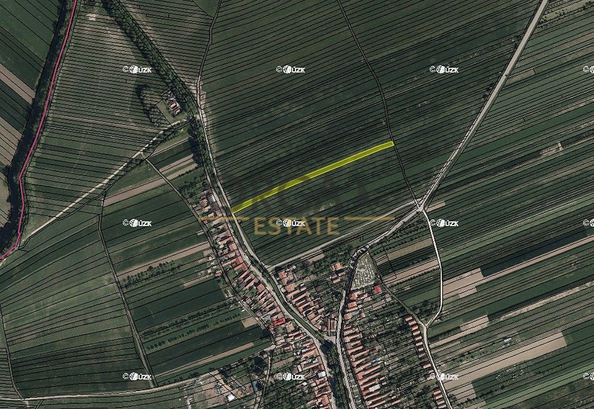 Zemědělské pozemky, Hrubá Vrbka, okres Hodonín, Jihomoravský kraj - 2