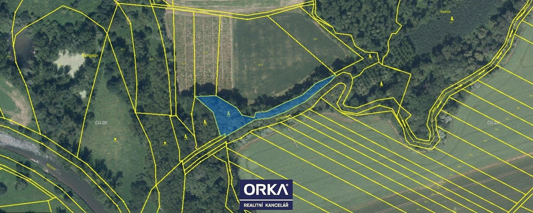 Lesy, Tovačov - Tovačov I-Město, okres Přerov, Olomoucký kraj - 2