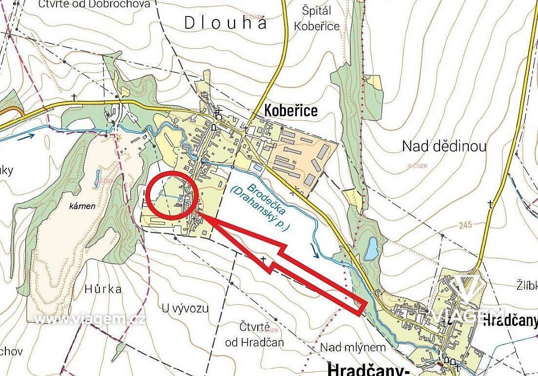 Zahrada · Hradčany-Kobeřice, okres Prostějov, Olomoucký kraj - 3