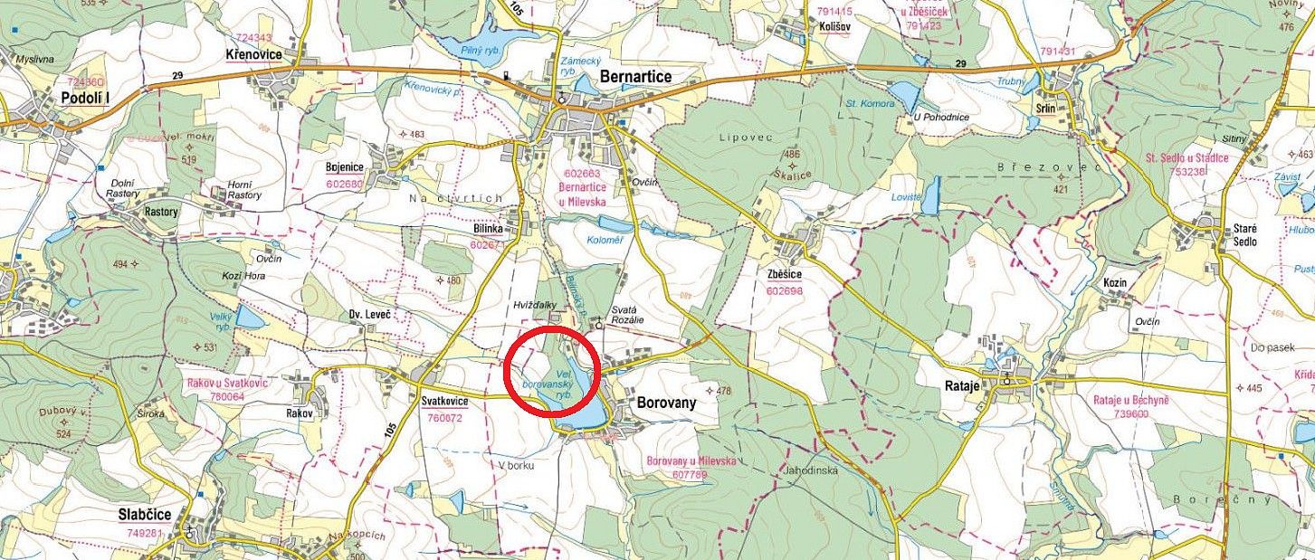 Les · Borovany, okres Písek, Jihočeský kraj - 3